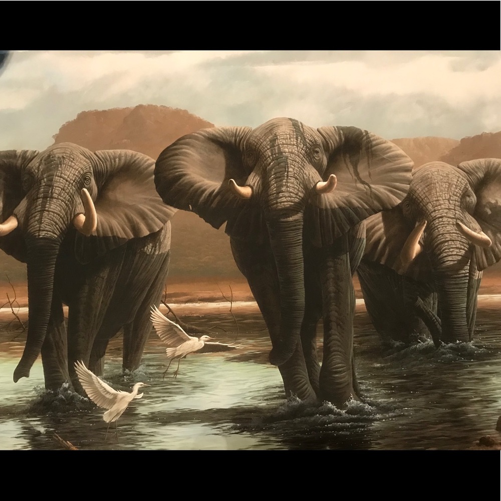 Crossing Over Andrew Bone Wildlife Artist